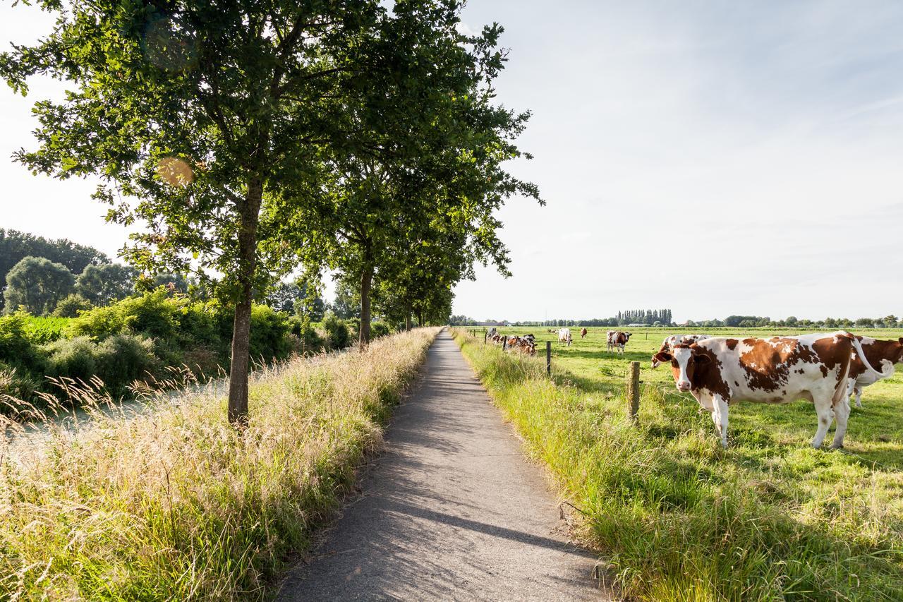 B&B De Lievde Lievegem Exteriör bild
